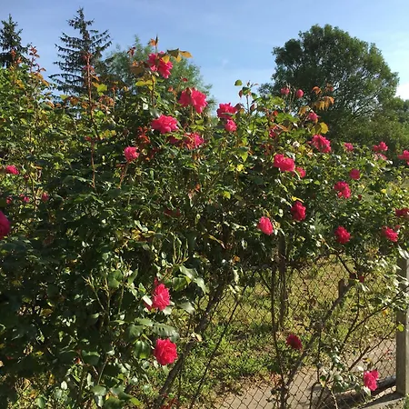 Panzió Chez Christian LʼIsle-en-Dodon