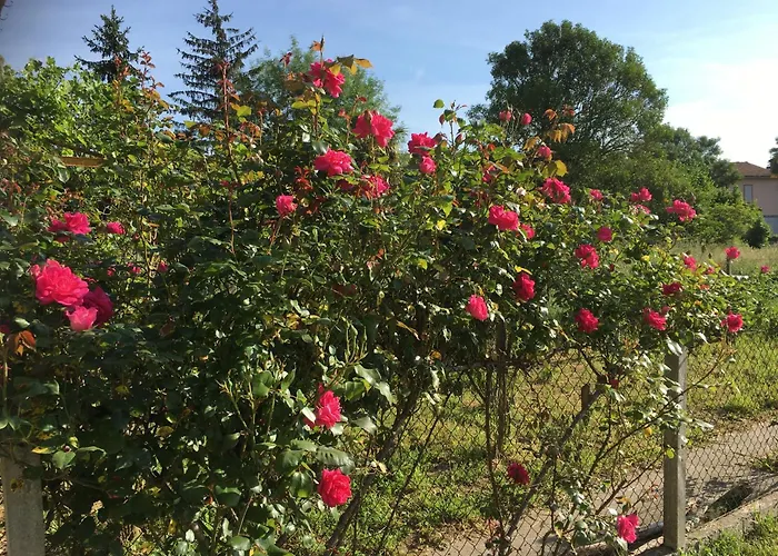 Alojamento de Acomodação e Pequeno-almoço Chez Christian LʼIsle-en-Dodon
